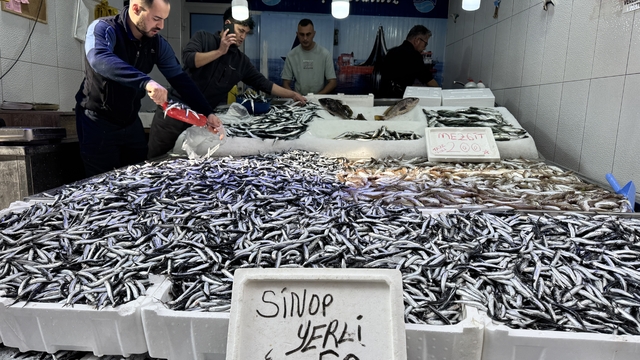 Sinop'ta bol miktarda avlanan hamsinin kilosu 50 liraya indi