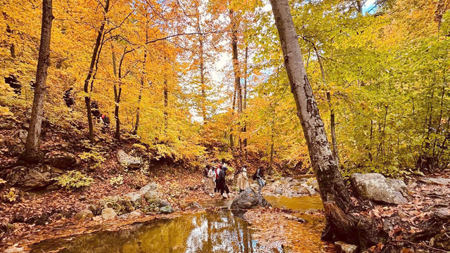 Amanos Dağları'nda sonbahar manzarası