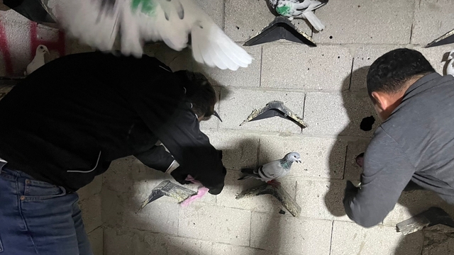 Hatay'da kümese 2 kilo 600 gram uyuşturucu gizleyen zanlı tutuklandı