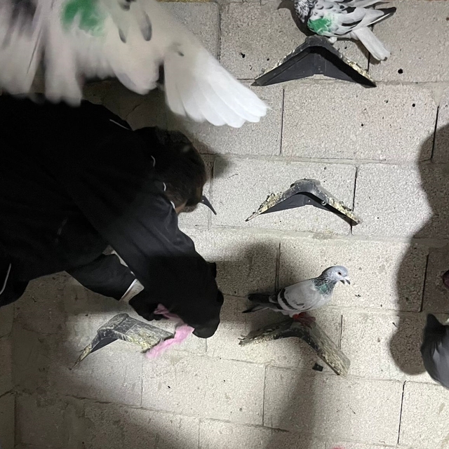 Hatay'da kümese 2 kilo 600 gram uyuşturucu gizleyen zanlı tutuklandı