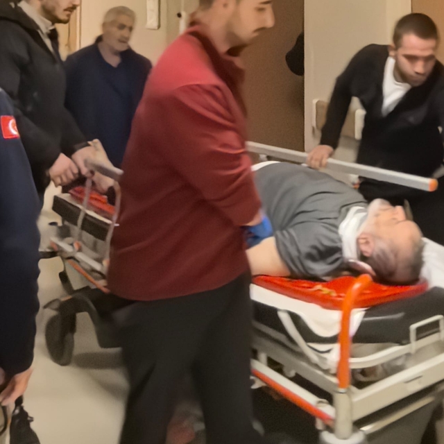 Ağaç budamak için çıktığı merdivenden düşüp ağır yaralandı