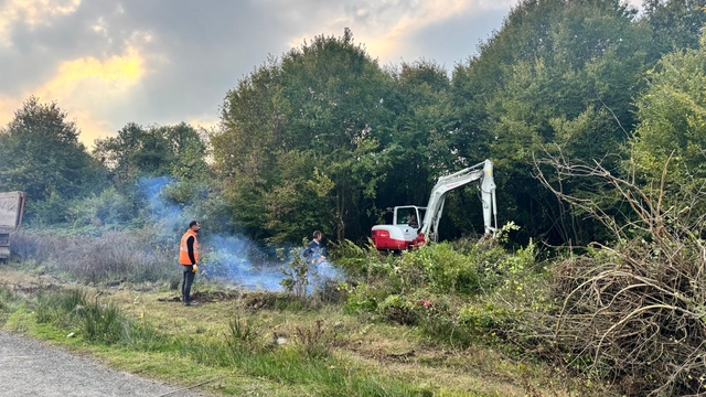 Salıpazarı'nda modern standartlarda hayvan barınağı yapılıyor