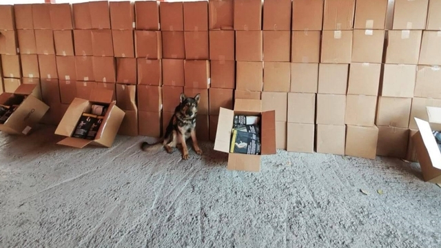 Erzurum'da 28 şüpheliye kaçakçılık suçundan işlem yapıldı