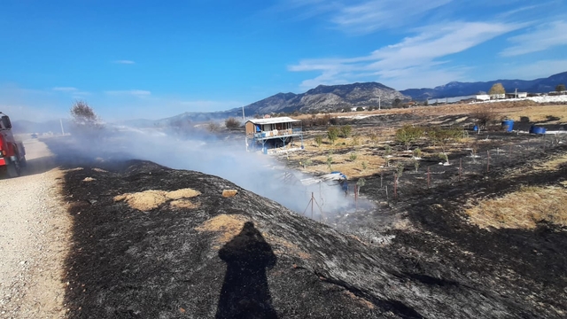 Bucak'ta arazide çıkan ot yangını söndürüldü