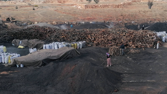 33 yıldır ailece mangal kömürü üretiyorlar
