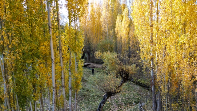 Bitlis'te sonbahar güzelliği