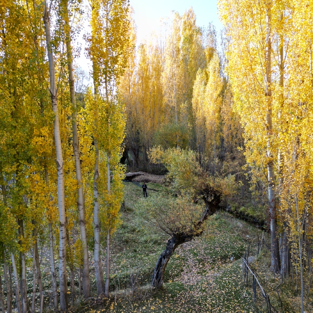 Bitlis'te sonbahar güzelliği
