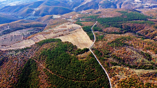 Tokat'ta ormanlarda sonbahar renkleri hakim oldu