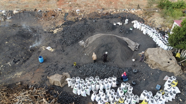 Mersin'de işçiler meşe odunlarını mangal kömürüne dönüştürüyor