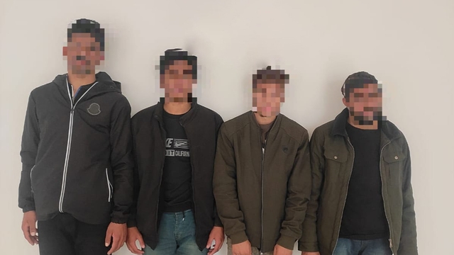 Siirt'te durdurulan minibüste sahte pasaportla 4 düzensiz göçmen yakalandı