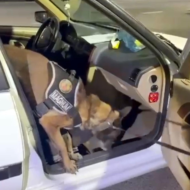 Koltuğun içine gizlenmiş 8,5 kilo metamfetamini 'Magnum' buldu