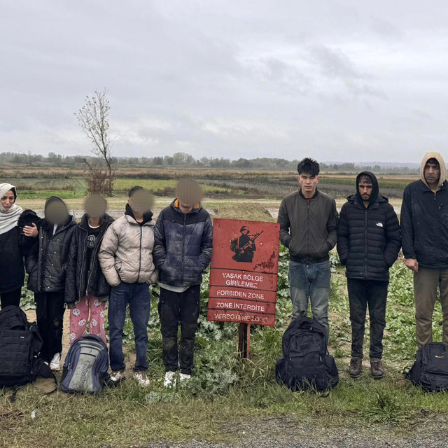 Edirne'de 29 kaçak göçmen yakalandı