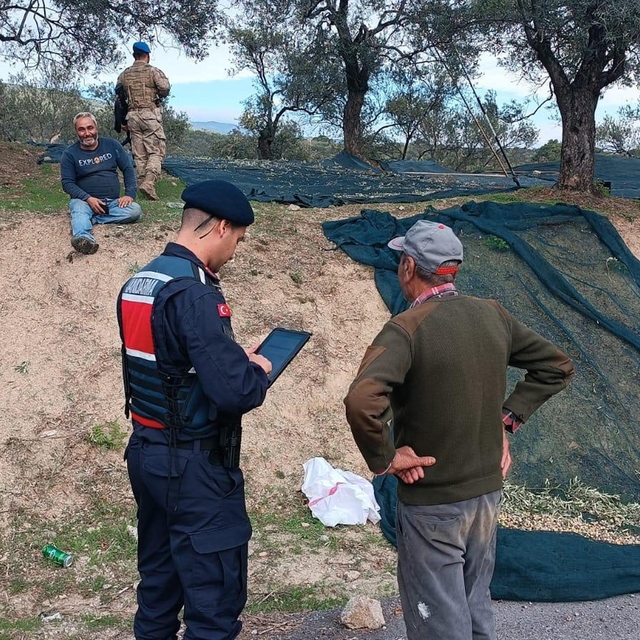 Balıkesir'de zeytin hırsızlığına karşı jandarma ve komandolar sahada