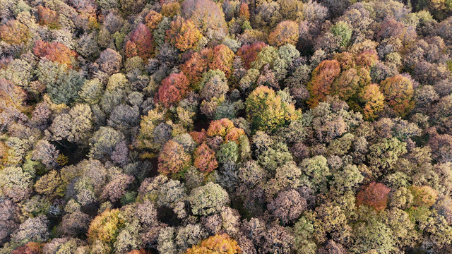 Bolu'da sonbahar manzaraları