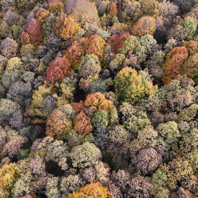 Bolu'da sonbahar manzaraları