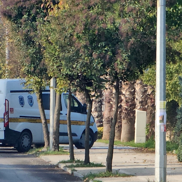 Villada bilinçleri kapalı halde bulunan Filistin uyruklu 2 kişi, hastanede...