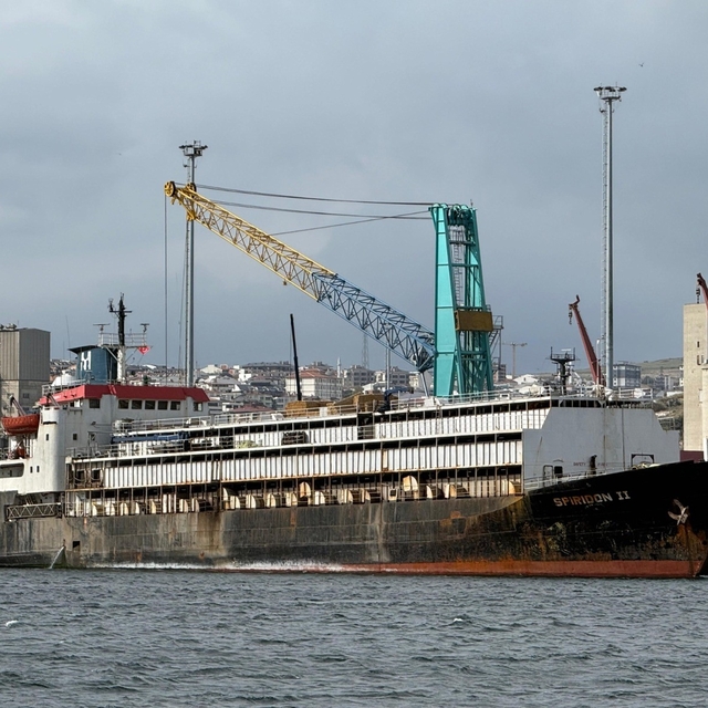 Tahliye yasağı, telef olan hayvanlar ve kötü koku: Spiridon 2 krizi derinle...