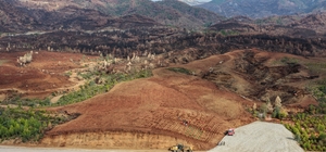 Aydın'da 17 lokasyonda fidan dikilecek