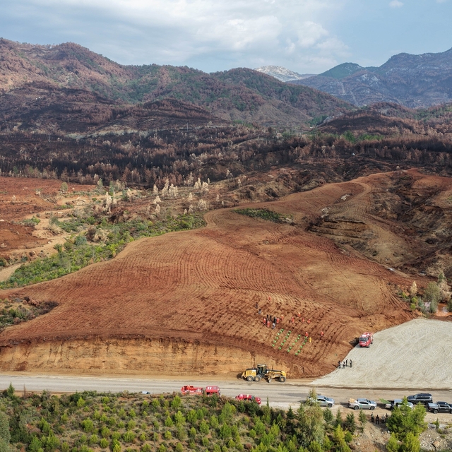 Aydın'da 17 lokasyonda fidan dikilecek