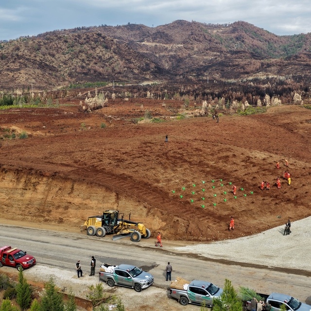Muğla Orman Bölge Müdürlüğü 'Yeşil Vatan' seferberliğine hazır
Muğla Orman...