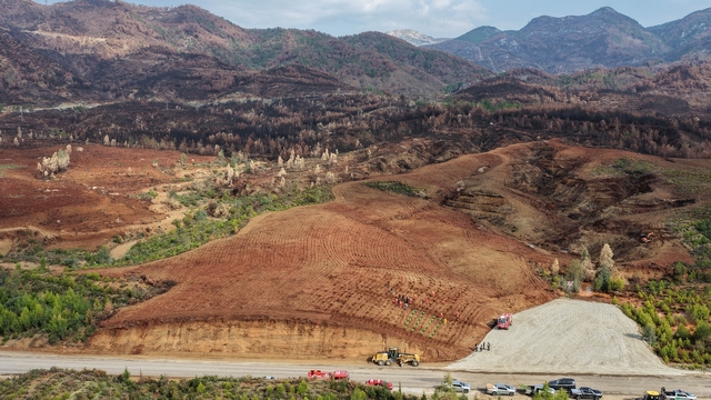 Aydın'da 17 lokasyonda fidan dikilecek