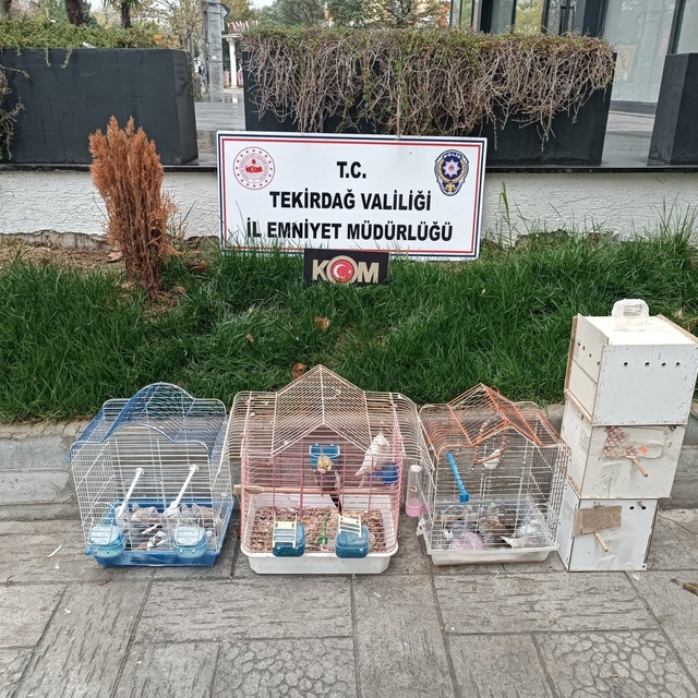 Tekirdağ'da yasa dışı yollarla getirilip üretimi yapılan 7 papağan ve 45 ku...