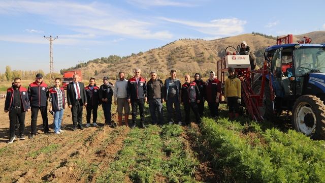 Bahşılı'da havuç hasadı yapıldı