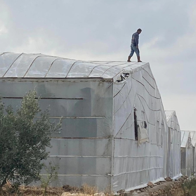 Mersin'de hortum ve fırtına seralara zarar verdi