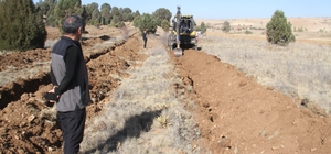 Beyşehir'de 11 bin orman fidanı daha toprakla buluşturulacak