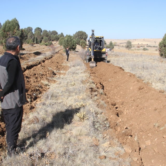 Beyşehir'de 11 bin orman fidanı daha toprakla buluşturulacak