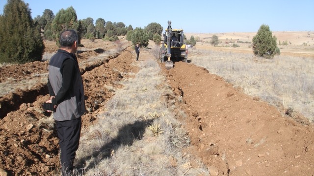 Beyşehir'de 11 bin orman fidanı daha toprakla buluşturulacak