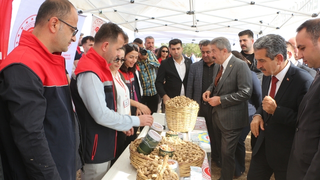 Şırnak'ta 25 bin ton yer fıstığı rekoltesi bekleniyor