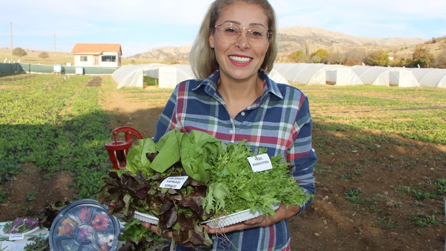 İstanbul'dan köyüne dönen gıda mühendisi kadın yeşil mirası renklendirdi