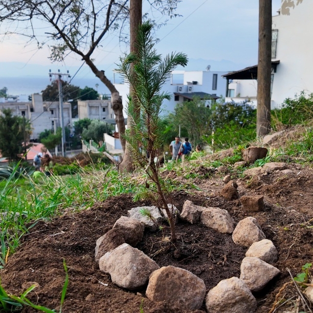 Bodrum Belediyesi çocukları doğayla buluşturdu