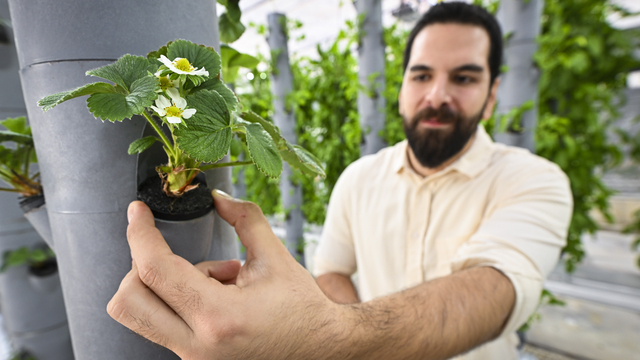 Topraksız dikey tarım uygulamaları enerjide tasarruf ve yüksek verimlilikle geleceğe umut oluyor