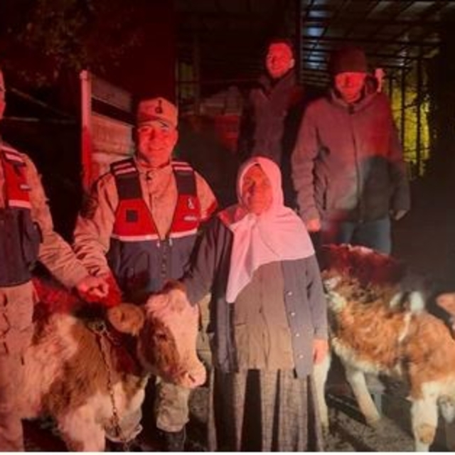 Jandarma çalınan hayvanları sahibine teslim etti