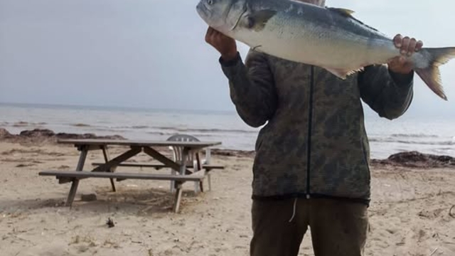 Gelibolulu amatör balıkçı 5 kilogramlık kofana yakaladı