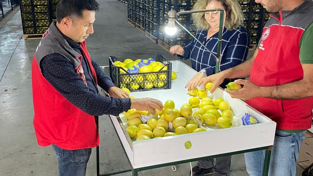 Ortaca'da ihracata giden ürünlere onay