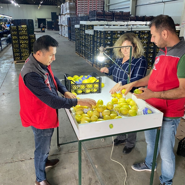 Ortaca'da ihracata giden ürünlere onay