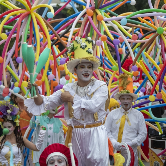 4. Ulusulararası Tarsus Festivali renkli görüntülerle başladı
Mersin Büyükş...
