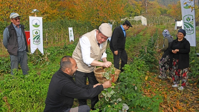 Osmangazi'de Üzümsü Meyvelerde Organik Tarım Seferberliği
Osmangazi'de İlk Hasat Başkan Aydın'dan
Başkan Aydın: "Çiftçilerimiz Örnek Bir Çalışma Ortaya Koydu"