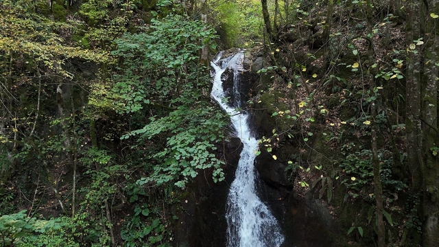 Düzce'nin saklı cenneti
Ağaçlar arasından akan şelaleler görenleri büyülüyor