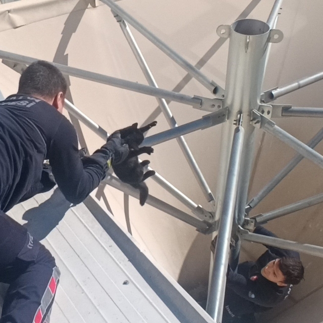 Çatıda mahsur kalan kediyi itfaiye kurtardı