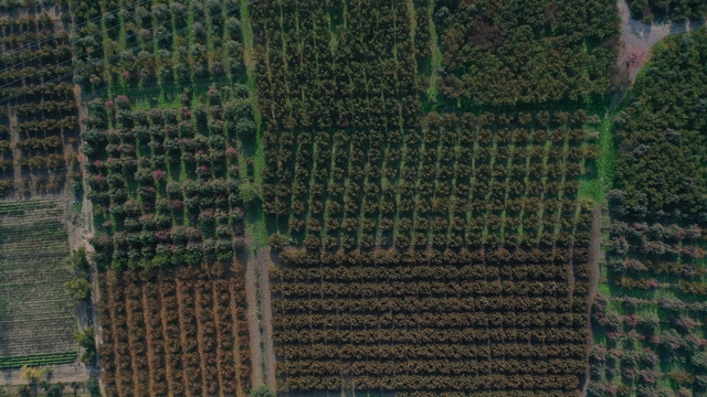 Su ihtiyacının bir bölümü kuyulardan karşılanan Bursa'nın ova kısmında çöküntü tehlikesi