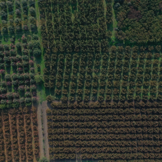 Su ihtiyacının bir bölümü kuyulardan karşılanan Bursa'nın ova kısmında çökü...