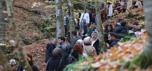 Yedigöller Milli Parkı, ziyaretçi akınına uğradı