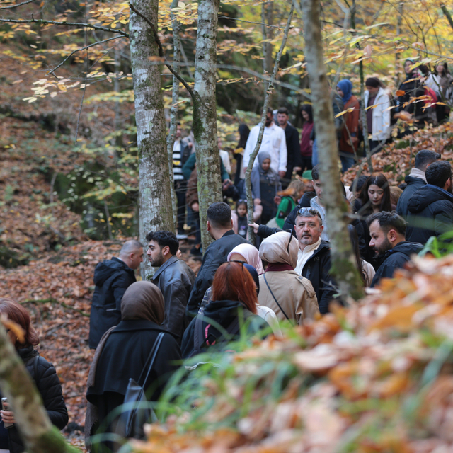 Yedigöller Milli Parkı, ziyaretçi akınına uğradı