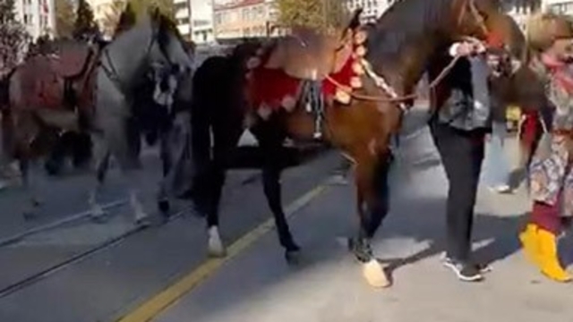 Şehir merkezinde gezdirilen atlar vatandaşları meraklandı