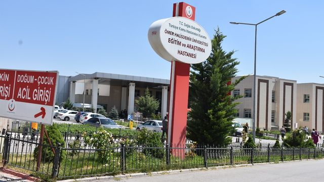 Ispanak sanıp, 'güzelavrat otu' yiyen aynı aileden 11 kişi zehirlendi