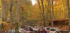 Yedigöller Milli Parkı, ziyaretçi akınına uğradı (2)